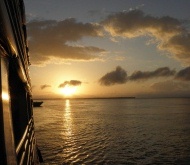 amazon ferry